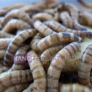 آموزش تولید کود ارگانیک آموزش تولید کود ارگانیک